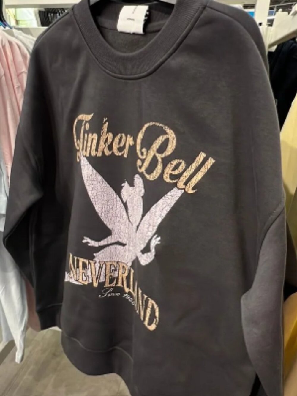 Disney Tinkerbell Sweatshirt Grey Fairy Peter Pan